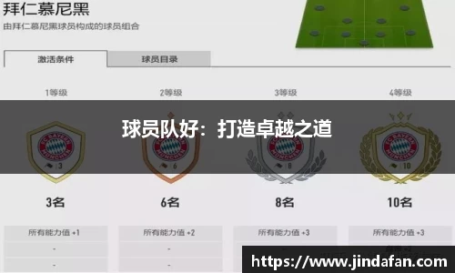 球员队好：打造卓越之道